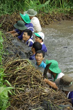 Trong ảnh: Đoàn viên thanh niên thành phố Cần Thơ ra quân vớt cây lục bình, khai thông dòng chảy trên sông Đầu Sọ, đoạn thuộc địa bàn xã Nhơn Nghĩa, huyện Phong Điền. Ảnh: Duy Khương - TTXVN