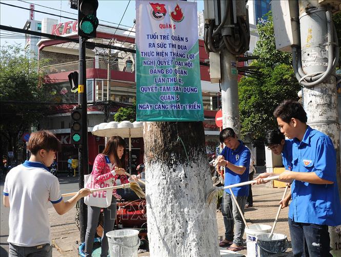 Trong ảnh: Đoàn viên thanh niên Quận 5 (TP Hồ Chí Minh) tham gia quét vôi các thân cây, trong chương Tháng thanh niên năm 2014 với chủ đề “Tuổi trẻ tham gia xây dựng văn minh đô thị”. Ảnh: TTXVN  