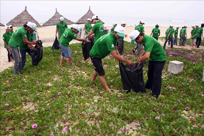 Trong ảnh: Thanh niên tình nguyện Đà Nẵng ra quân làm vệ sinh môi trường tại các bãi biển, công viên, khu vực công cộng. Ảnh: Trần Lê Lâm - TTXVN