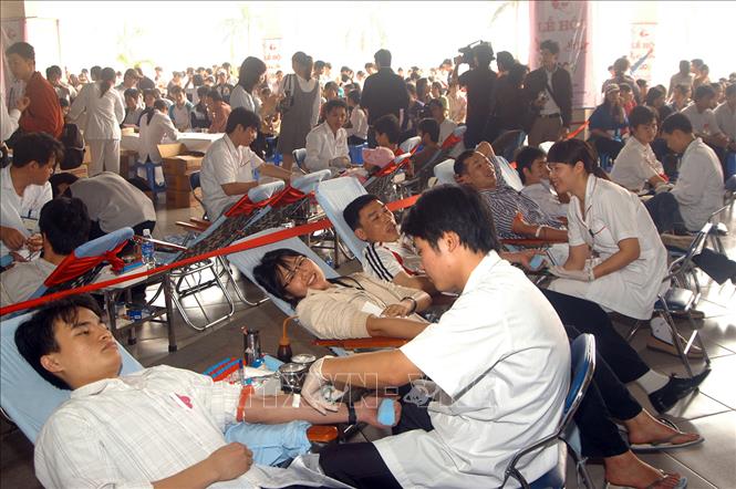 Trong ảnh: Thanh niên, sinh viên Hà Nội tham gia hiến máu tình nguyện. Ảnh: Đình Trân – TTXVN.