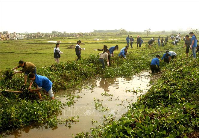 Trong ảnh: Thanh niên tình nguyện quận Long Biên (Hà Nội) ra quân làm vệ sinh môi trường, thu gom cỏ rác, khai thông mương thoát nước. Ảnh: Đình Trân - TTXVN