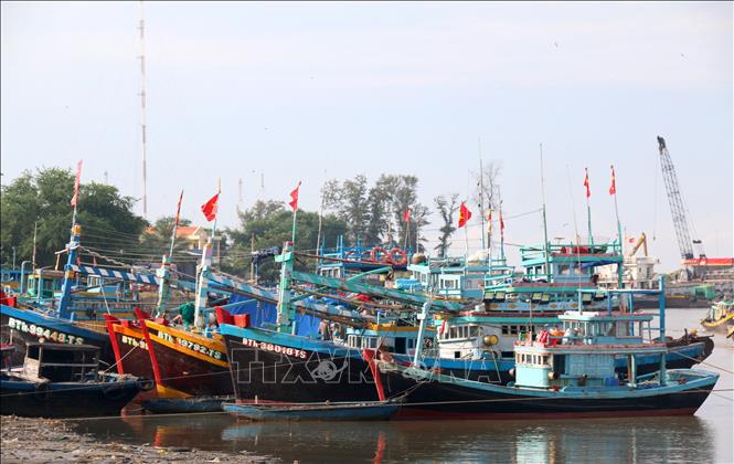 Binh Thuan has all of its fishing boats measuring at least 15 metres in length completing the installation of the vessel monitoring system (VMS). VNA Photo: Nguyễn Thanh  