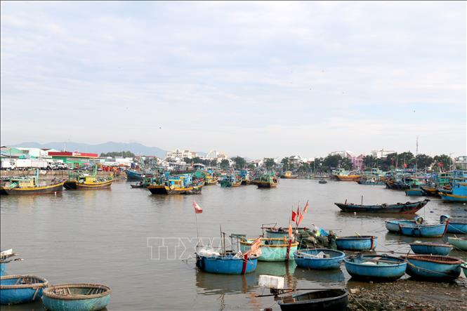 Fishing boats at Phan Thiet port. VNA Photo: Nguyễn Thanh  