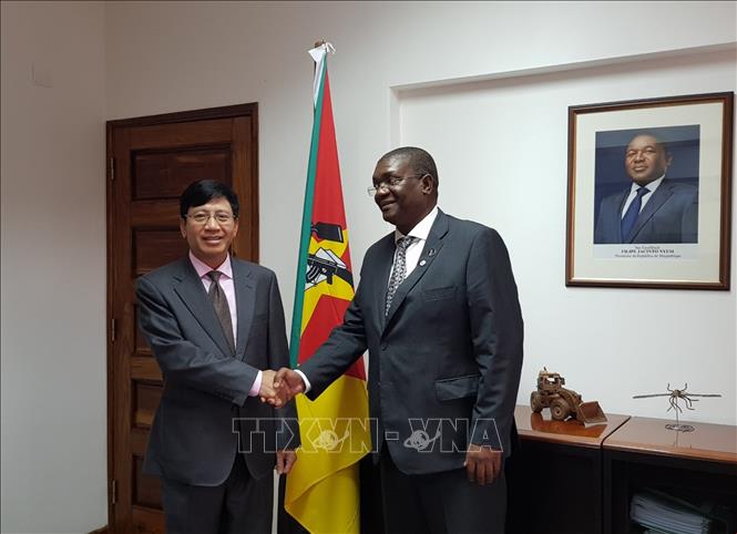 Trong ảnh: Đại sứ Lê Huy Hoàng gặp Bộ trưởng Nông nghiệp và An toàn lương thực Mozambique, ông Higino Francisco de Marrule. Ảnh: TTXVN