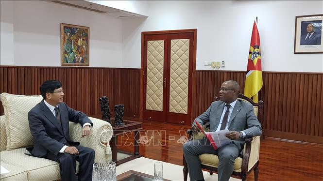 Trong ảnh: Đại sứ Lê Huy Hoàng gặp Bộ trưởng Ngoại giao và Hợp tác quốc tế Mozambique, ông José Pacheco. Ảnh: TTXVN  