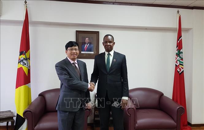 Trong ảnh: Đại sứ Lê Huy Hoàng chào xã giao Tổng Thư ký đảng cầm quyền FRELIMO Roque Silva. Ảnh: TTXVN  