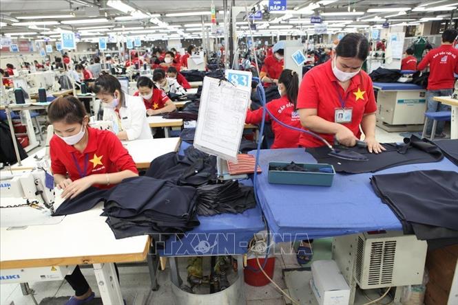 Trong ảnh: Dây chuyền may xuất khẩu sang thị trường Mỹ tại Công ty may 10. Ảnh: Trần Việt - TTXVN