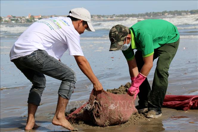 Trong ảnh: Các bạn trẻ tham gia dọn rác khu vực biển Mũi Né. Ảnh: Nguyễn Thanh - TTXVN