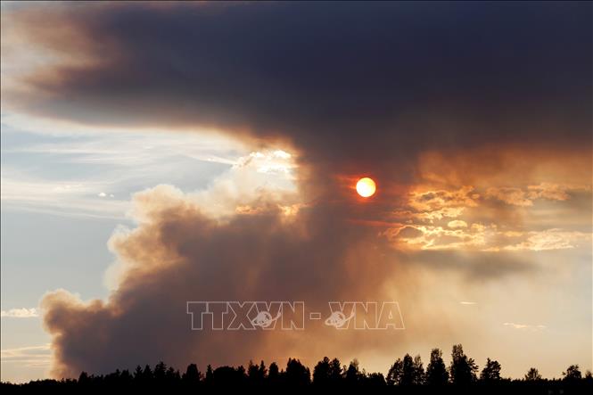Trong ảnh: Lửa cháy rừng dữ dội ở Karbole, Thụy Điển ngày 15/7. AFP/ TTXVN