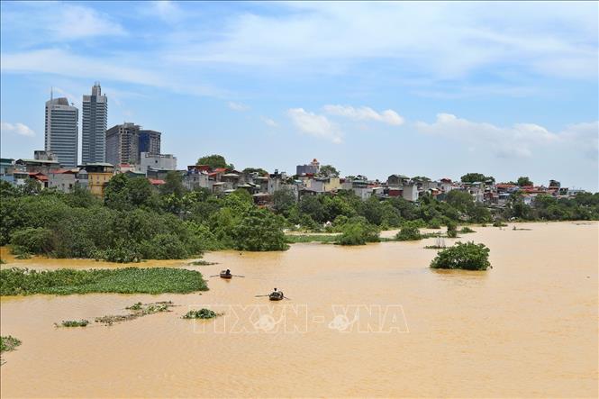 Trong ảnh: Mưa lớn ở thượng nguồn đổ về khiến mực nước sông Hồng lên cao, bãi giữa sông Hồng (Hà Nội) mênh mông nước (ảnh chụp 22/7/2018). Ảnh: Minh Quyết – TTXVN