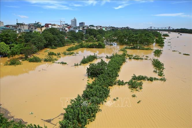 Trong ảnh: Mưa lớn ở thượng nguồn đổ về khiến mực nước sông Hồng lên cao, bãi giữa sông Hồng (Hà Nội) mênh mông nước (ảnh chụp 22/7/2018). Ảnh: Minh Quyết – TTXVN