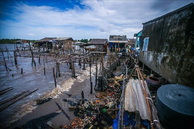 Trong ảnh: Mấy tháng trước, khu vực này là nơi sinh sống của 11 hộ dân ấp Kênh Đào Đông, xã Đất Mũi, huyện Ngọc Hiển (tỉnh Cà Mau), nhưng đến giờ chỉ còn lại 6 hộ bám trụ bởi triều cường và sự xâm lấn mạnh mẽ của sóng biển Tây đã phá hủy mọi thứ. Nhà của người dân giờ không còn sự che chắn, bảo vệ của rừng phòng hộ hay bất cứ thứ gì khác nữa. Ảnh: Trọng Đạt - TTXVN