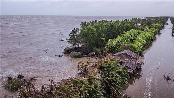 Trong ảnh: Tại địa bàn ấp Cây Gõ, xã Vân Khánh Tây, huyện An Minh (tỉnh Kiên Giang), sóng dữ không chỉ từng ngày 