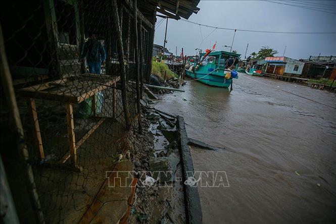 Trong ảnh: Ngôi nhà của hộ dân Bảy Lẩy, ở ấp 7, xã Khánh Tiến, huyện U Minh, tỉnh Cà Mau đã bị sụt lún xuống mép nước ở cửa biển Hương Mai. Gia đình ông đã phải di dời đi nơi khác bởi sự nguy hiểm có thể xảy ra bất cứ khi nào. Ảnh: Trọng Đạt - TTXVN
