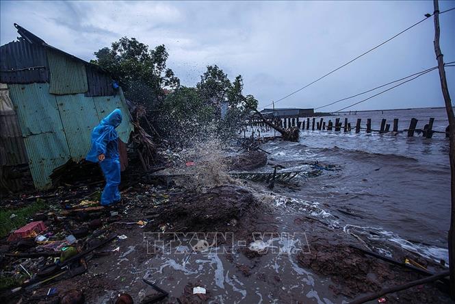 Trong ảnh: Tại khu vực ấp Cây Gõ, xã Vân Khánh Tây, huyện An Minh (tỉnh Kiên Giang), sóng biển đã cuốn phăng rừng phòng hộ ven biển và tiếp tục hằng ngày đe dọa trực tiếp đến an toàn tính mạng, nhà cửa của người dân. Nhiều nhà đã phải lùi nhà sâu vào đất liền tới 30 - 40m. Ảnh: Trọng Đạt - TTXVN