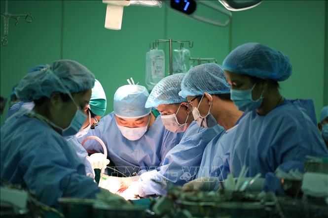 Trong ảnh: Các bác sỹ Bệnh viện Đại học y dược Thành phố Hồ Chí Minh thực hiện ca ghép gan với sự hỗ trợ của các chuyên gia đến từ bệnh viện ASAN. Ảnh: TTXVN phát