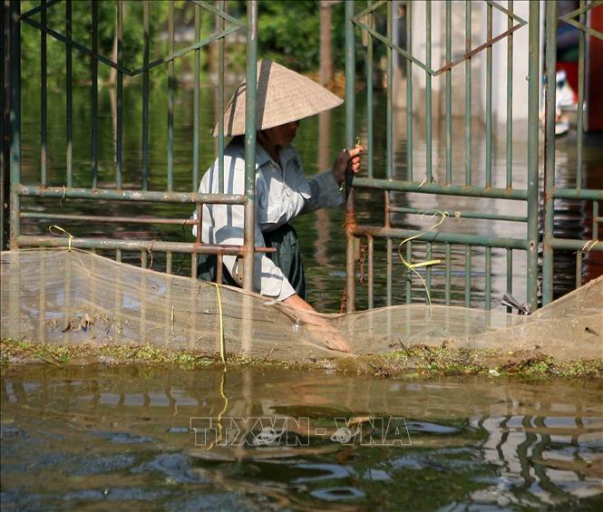 Trong ảnh: Người dân dùng lưới để ngăn rác trôi vào nhà. Ảnh: Thanh Tùng-TTXVN