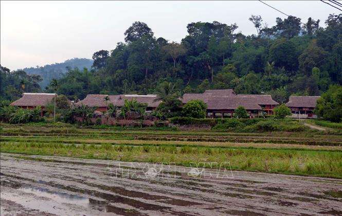 Trong ảnh: Những ngôi nhà sàn truyền thống thôn Tân Lập, xã Tân Trào, huyện Sơn Dương (Tuyên Quang). Ảnh: Quang Đán – TTXVN