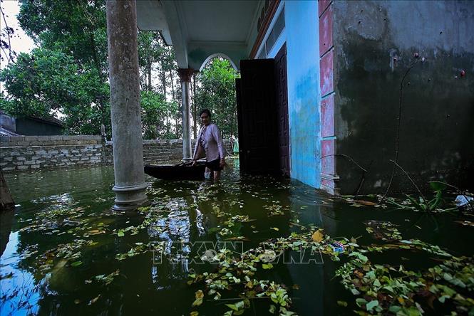 Trong ảnh: Nước rút chậm, môi trường ở vùng ngập lụt Chương Mỹ đang là một vấn đề báo động ảnh hưởng nghiêm trọng đến cuộc sống người dân. Ảnh: Trọng Đạt - TTXVN