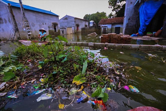 Trong ảnh: Rác thải với nilon, chai nhựa và xác của động vật bốc mùi xuất hiện khắm nơi ở những vùng ngập nước. Ảnh: Trọng Đạt - TTXVN