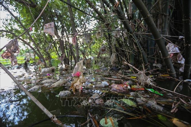 Trong ảnh: Ở những bụi tre làng, góc đường hay bất cứ nơi nào cũng có rác thảy bám đầy với nilon, chai nhựa và xác của động vật bốc mùi. Ảnh: Trọng Đạt - TTXVN