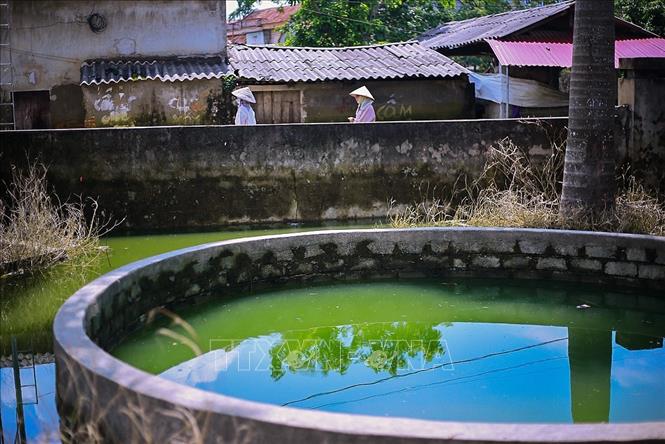 Trong ảnh: Giếng làng Thôn Nam Hài ngập nước và chuyển màu. Ảnh: Trọng Đạt - TTXVN