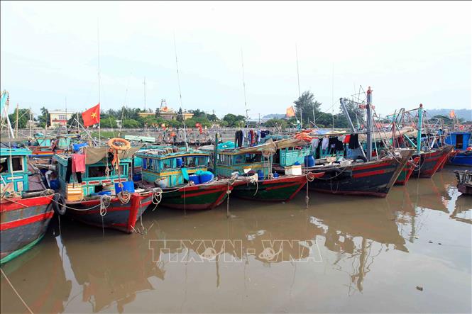 Trong ảnh: Tàu, thuyền vào neo đậu tránh bão an toàn tại khu cảng cá Ngọc Hải, Đồ Sơn. Ảnh: An Đăng - TTXVN