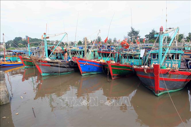 Trong ảnh: Tàu, thuyền neo đậu tránh bão an toàn tại khu cảng cá Ngọc Hải, Đồ Sơn. Ảnh: An Đăng - TTXVN