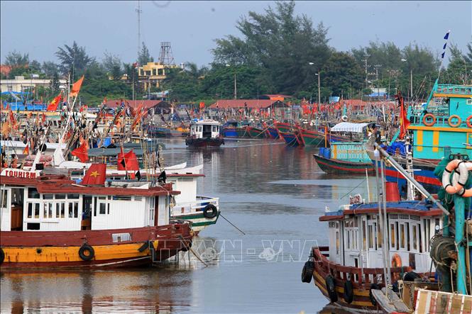 Trong ảnh: Tàu, thuyền neo đậu tránh bão an toàn tại khu cảng cá Ngọc Hải, Đồ Sơn. Ảnh: An Đăng - TTXVN