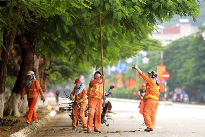 Trong ảnh: Công ty Cổ phần Công trình công cộng và Dịch vụ du lịch TP Hải Phòng cắt các cành cây khô trên các tuyến phố. Ảnh: An Đăng - TTXVN