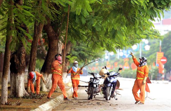 Trong ảnh: Công ty Cổ phần Công trình công cộng và Dịch vụ du lịch TP Hải Phòng cắt cành cây khô trên các tuyến phố. Ảnh: An Đăng - TTXVN