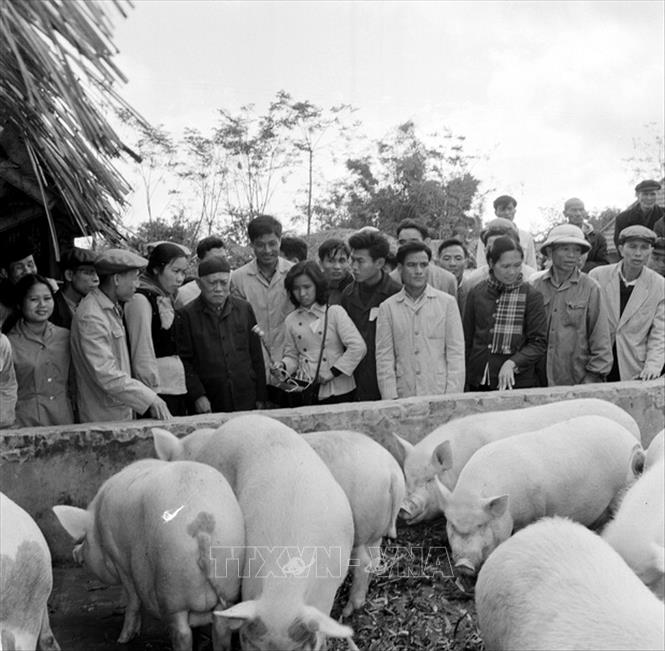 Trong ảnh: Chủ tịch Tôn Đức Thắng thăm bà con nông dân tập thể HTX Việt Trung (ngoại thành Hà Nội), một HTX có nhiều thành tích về sản xuất lương thực và thực phẩm, ngày 01/01/1970. Ảnh: TTXVN