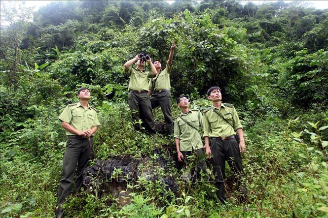 Trong ảnh: Lực lượng Kiểm lâm Khu Bảo tồn thiên nhiên Kim Hỷ đi tuần rừng. Ảnh: Đức Hiếu - TTXVN