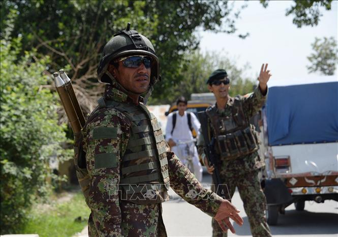 Trong ảnh (tư liệu): Binh sĩ Afghanistan trong chiến dịch truy quét phiến quân tại thành phố Jalalabad ngày 1/8. Ảnh: AFP/TTXVN