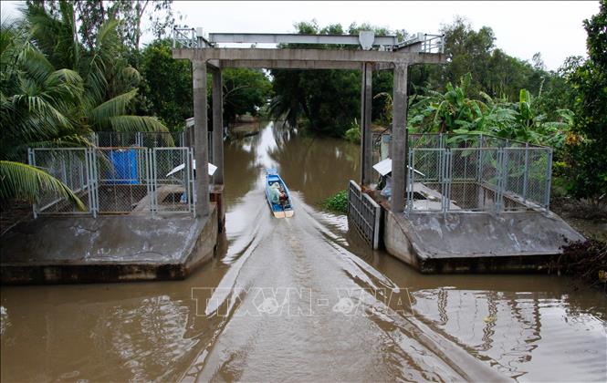 Trong ảnh: Hệ thống cống trên địa bàn tỉnh góp phần đảm bảo cho sản xuất nông nghiệp bền vững. Ảnh: Hồng Thái - TTXVN
