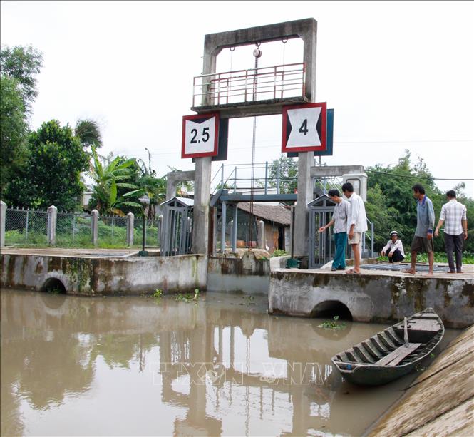 Trong ảnh: Hệ thống cống trên địa bàn tỉnh góp phần đảm bảo cho sản xuất nông nghiệp bền vững. Ảnh: Hồng Thái - TTXVN