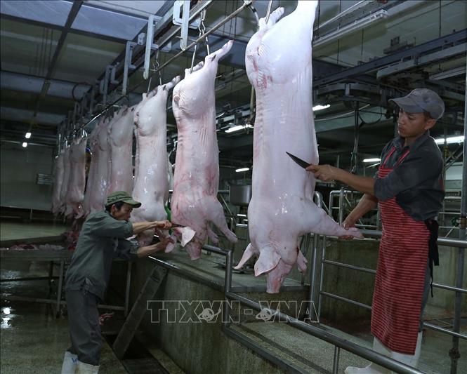 Trong ảnh: Dây chuyền giết mổ lợn tại nhà máy của Công ty Vinh Anh. Ảnh: Vũ Sinh - TTXVN