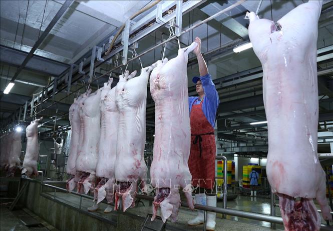 Trong ảnh: Dây chuyền giết mổ lợn tại nhà máy của Công ty Vinh Anh. Ảnh: Vũ Sinh - TTXVN