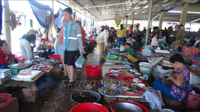 Trong ảnh: Các quầy hàng được sắp xếp gọn gàng. Ảnh: Thanh Thủy-TTXVN