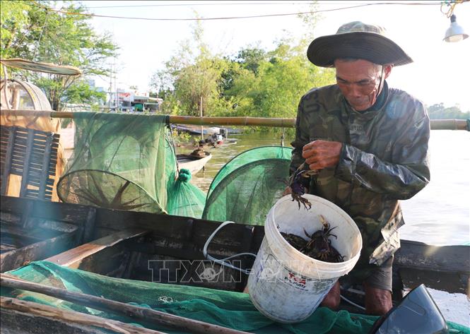 Trong ảnh: Ông Nguyễn Văn Xíu, ở ấp Phú Tâm, xã An Phú, huyện Tịnh Biên, phấn khởi vì sau một ngày đổ dớn được hơn 30kg cá linh và gần 10kg cua đồng, giúp gia đình ông có thêm thu nhập. Ảnh: Công Mạo-TTXVN