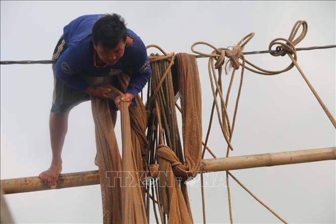 Trong ảnh: Kéo đáy thu hoạch tôm cá. Ảnh: Phúc Sơn - TTXVN