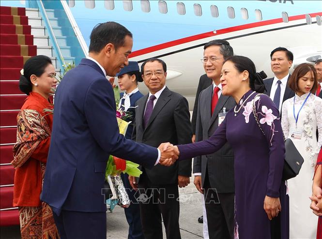 Photo: Representatives of the Ministry of Foreign Affairs welcome President Joko Widodo and his spouse at Noi Bai International Airport. VNA Photo: Doãn Tấn