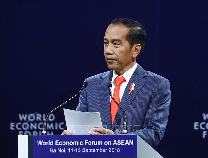 Photo: Indonesian President Joko Widodo speaks at the plenary session. VNA Photo