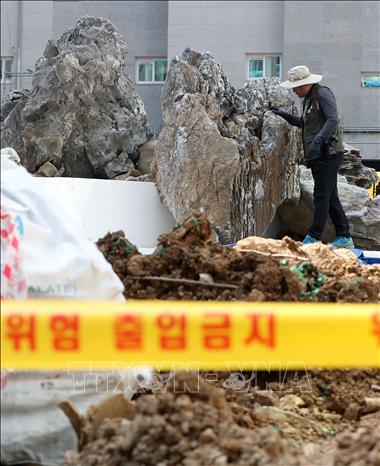 Trong ảnh: Nhân viên môi trường Hàn Quốc kiểm tra tại một công trình xây dựng ở thành phố Daegu, nơi phát hiện ổ kiến lửa đỏ nguy hiểm. Ảnh: YONHAP/TTXVN 