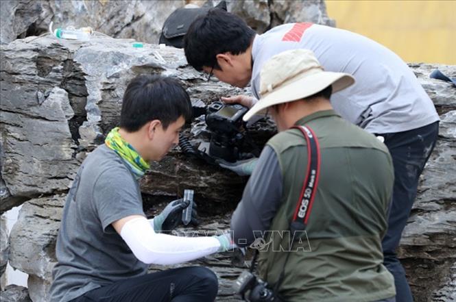 Trong ảnh: Nhân viên môi trường Hàn Quốc kiểm tra tại một công trình xây dựng ở thành phố Daegu, nơi phát hiện ổ kiến lửa đỏ nguy hiểm, ngày 18/9/2018. Ảnh: YONHAP/TTXVN