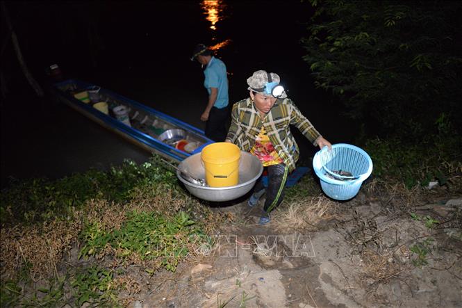 Trong ảnh: Người dân đưa cá, tôm đánh bắt được trên cánh đồng ngập lũ đến chợ 