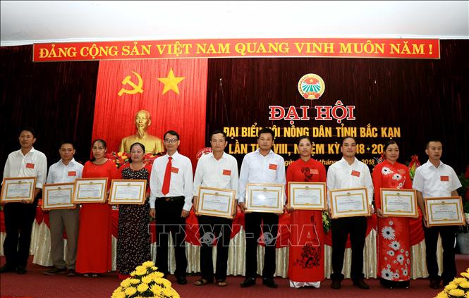 Trong ảnh: Các cá nhân và tập thể nhận Bằng khen của Trung ương Hội Nông dân Việt Nam. Ảnh: Vũ Hoàng Giang - TTXVN
