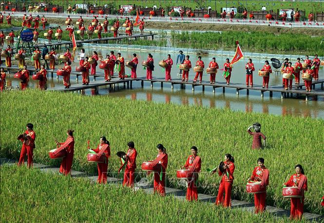 Trung Quốc: Lễ hội mùa màng - Ảnh thời sự quốc tế - Văn hóa xã hội - Thông  tấn xã Việt Nam (TTXVN)
