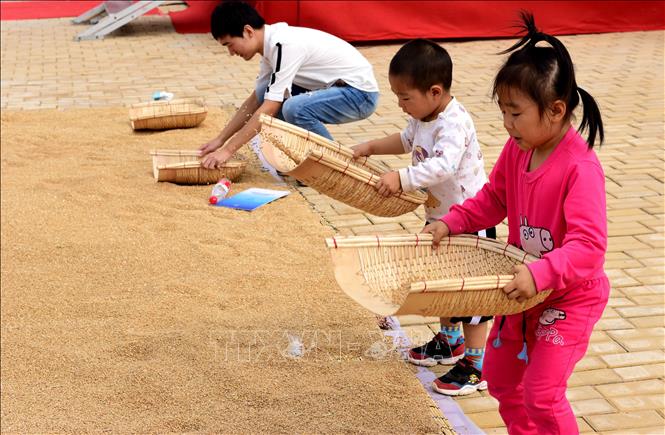 Trong ảnh: Trẻ em tập sàng thóc tại Lễ hội mùa màng ở Trịnh Châu, tỉnh Hà Nam, Trung Quốc ngày 23/9/2018. Ảnh: THX/ TTXVN