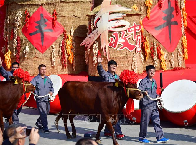 Trong ảnh: Người dân tham gia Lễ hội mùa màng ở làng Dương Lăng, thành phố Hàm Dương, tỉnh Thiểm Tây, Trung Quốc ngày 23/9/2018. Ảnh: THX/ TTXVN